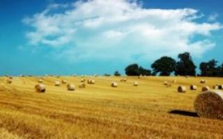 Rregullat dhe procedura për marrjen e grantit për zhvillimin e bujqësisë Mbështetja e grantit për fermerët